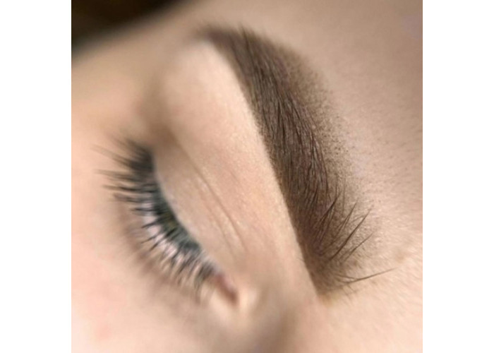 Семинар "Перманентный макияж бровей.