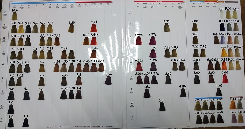 INDOLA CARING COLOR Крем-краска 3.8 (60 мл)